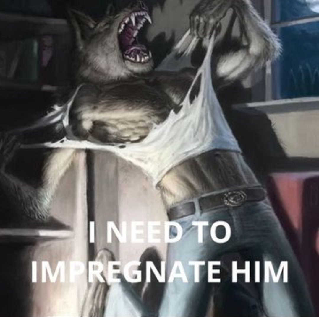 whostolemybeans tweet media