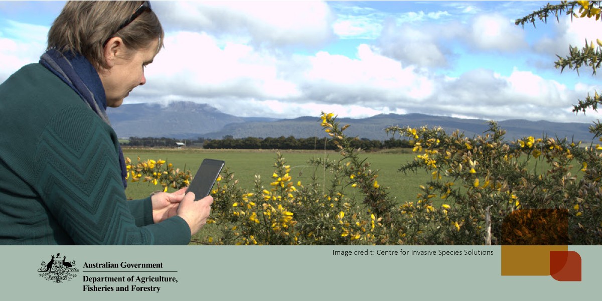 Managing #Weeds in Australia just got easier: introducing #WeedScan an easy-to-use app that will identify weeds using AI, with integrated options to report and resources to help manage them. 👉Download here: brnw.ch/21wFYiI #WeedScan #Weeds #EnvironmentalBiosecurity