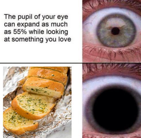 WholesomeMemes tweet media