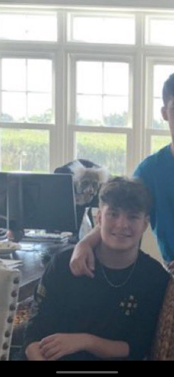 Maybe Ivan tweet media