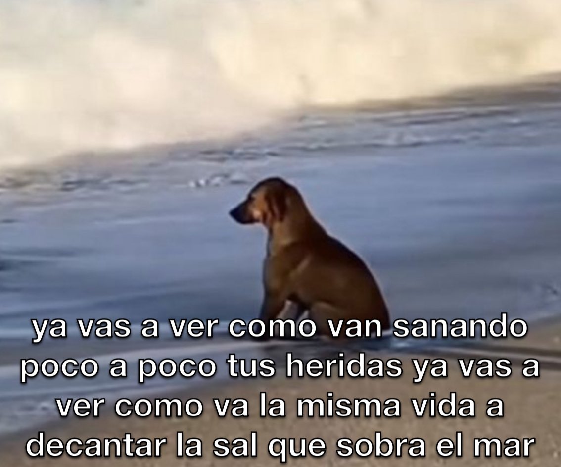 conoloracigarro's tweet photo. la sal que sobra en el mar 🌊 https://t.co/K1luY8ONid