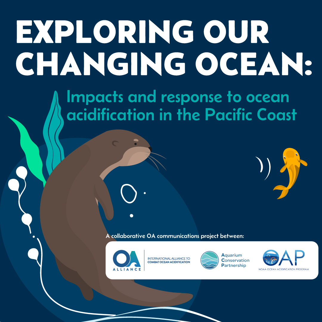 OA_Alliance's tweet photo. The West Coast of North America is leading the 🌏 in ocean acidification policy &amp; response.

Learn more about the leaders, policy makers &amp; scientists who are translating OA science into action across the region!  

#ClimateOceanAction  🌊🌱🦪🦀🎣
@OA_NOAA 
https://t.co/7idE8GjKIA https://t.co/CQkeXgQ65V