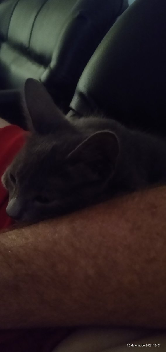 cjcovic's tweet image. Pazzz...!!!