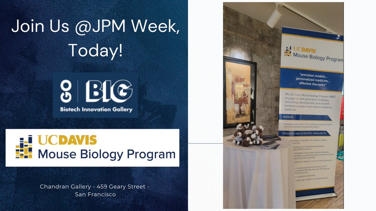 UCDMouseBio's tweet photo. We're thrilled to be at the JPM Week Biotech Innovation Gallery (BIG) Startup Showcase and Reception!  Showcasing some of the most innovative startups and groundbreaking solutions from UC Davis. https://t.co/bZlmfx5Piq