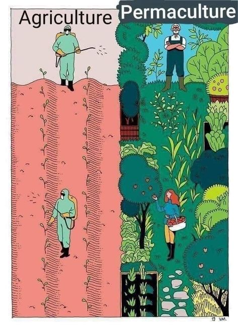 SharonMottram15's tweet photo. @rhosking252 @ClimateDad77 @RogerHallamCS21 @endelstamberg @ECOWARRIORSS 

Is the owner of this world God or has the devil taken over it? …

#ClimateCrisis #ClimateEmergency #AnimalRights 
#GoVegan #Veganuary2024 #vegan https://t.co/hsEUzzdkox
