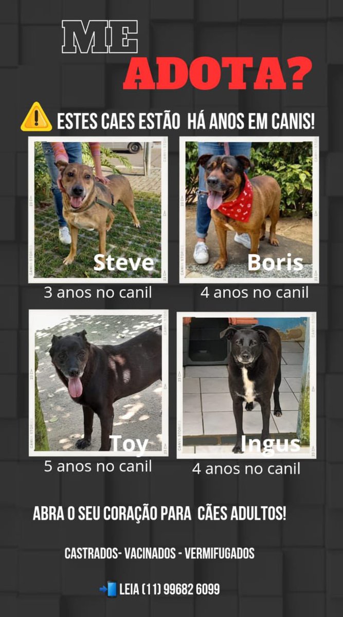 Projeto Kaotinho tweet media