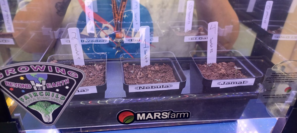 MsGScienceSeeds's tweet photo. We already have germination! The kids love naming the plants something different for each trial @GrowBeyondEarth @getMARSfarm @BerkCoSchoolsWV https://t.co/1t7ZhZEQUD