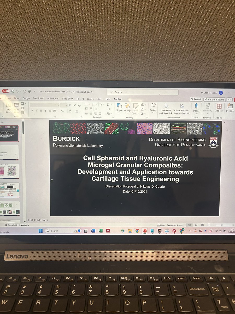 Niko Di Caprio tweet media