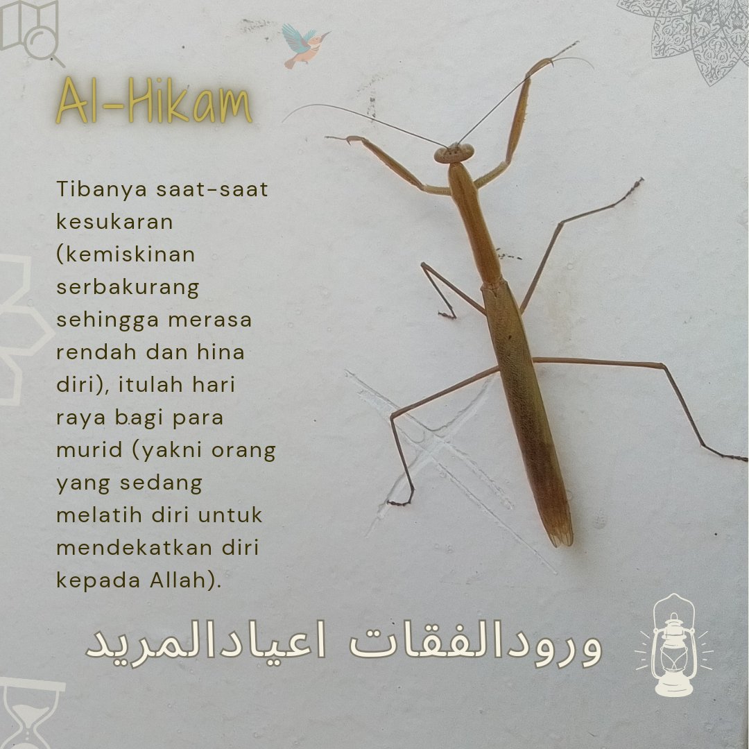 Refleksi Al-Hikam #alhikam