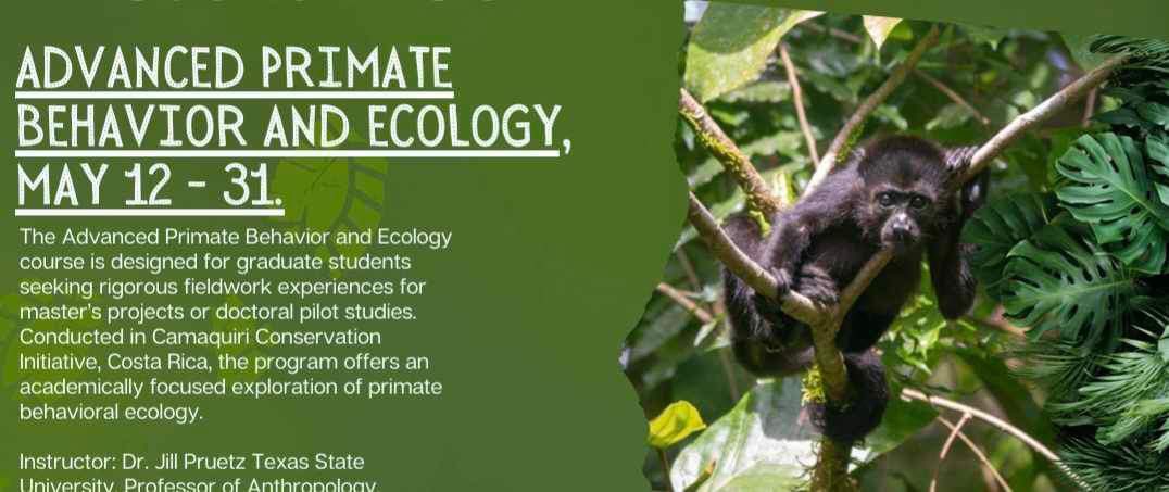 Jill Pruetz (@jillpruetz) on Twitter photo I’m teaching an advanced primate behavioral ecology field school at <a href="/camaquiri/">Camaquiri Conservation Initiative</a> Costa Rica in May! Opportunities to conduct your own research or jump in on some new site development projects in the area! Message me or reply if interested! I’m teaching an advanced primate behavioral ecology field school at <a href="/camaquiri/">Camaquiri Conservation Initiative</a> Costa Rica in May! Opportunities to conduct your own research or jump in on some new site development projects in the area! Message me or reply if interested!