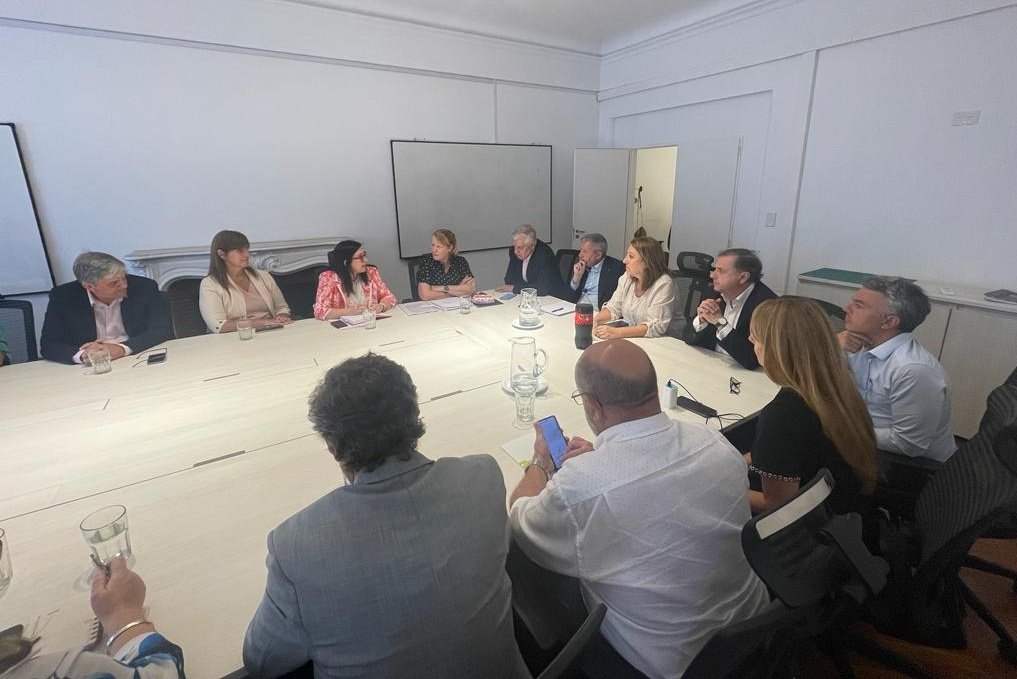 Escuchamos a los farmacéuticos y apoyamos el planteo sobre el impacto que tiene el DNU en sus actividades y sobre la importancia fundamental de que la venta de medicamentos quede en manos de las farmacias.