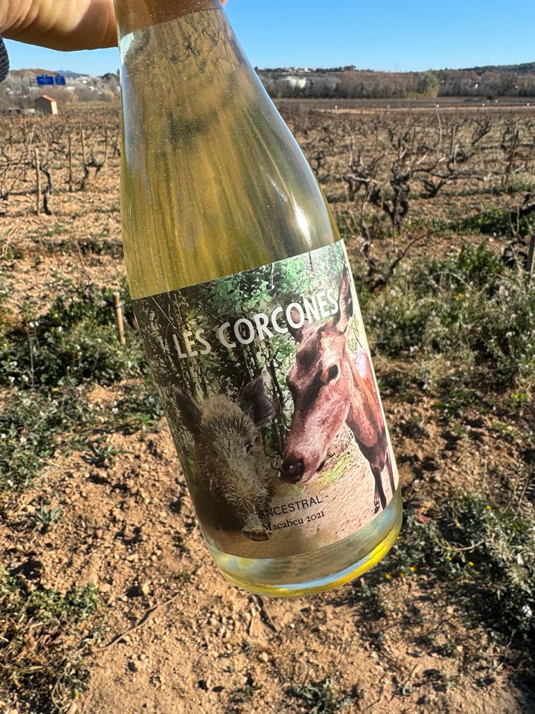 <a href="/CalTeixidorEno/">Cal Teixidor</a> sigue a la cabeza de los vinos #ancestrales en en #Catalunya , en este caso repetimos pócima!!! #lescorcones .