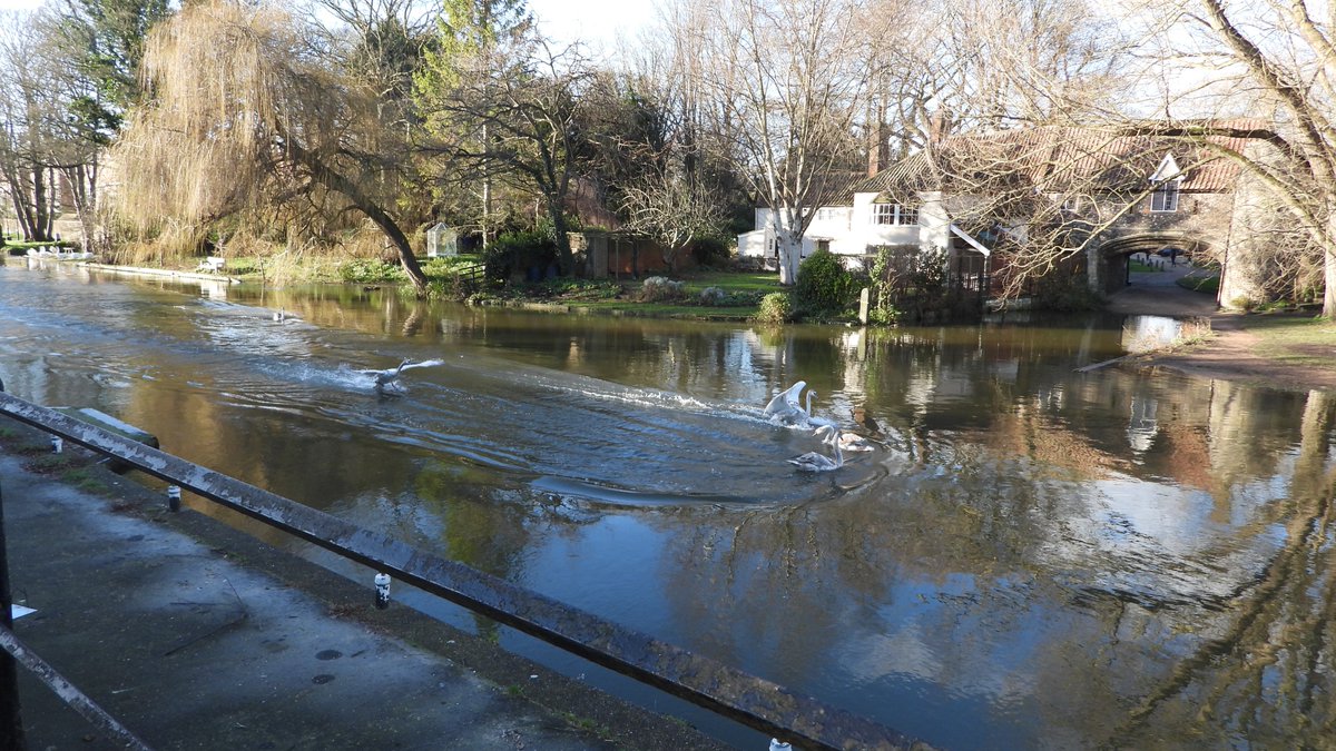 seuneke's tweet photo. Pulls Ferry Norwich #norwich #norfolk #pullsferry @WherryLines @greateranglia https://t.co/fr40dYohjS