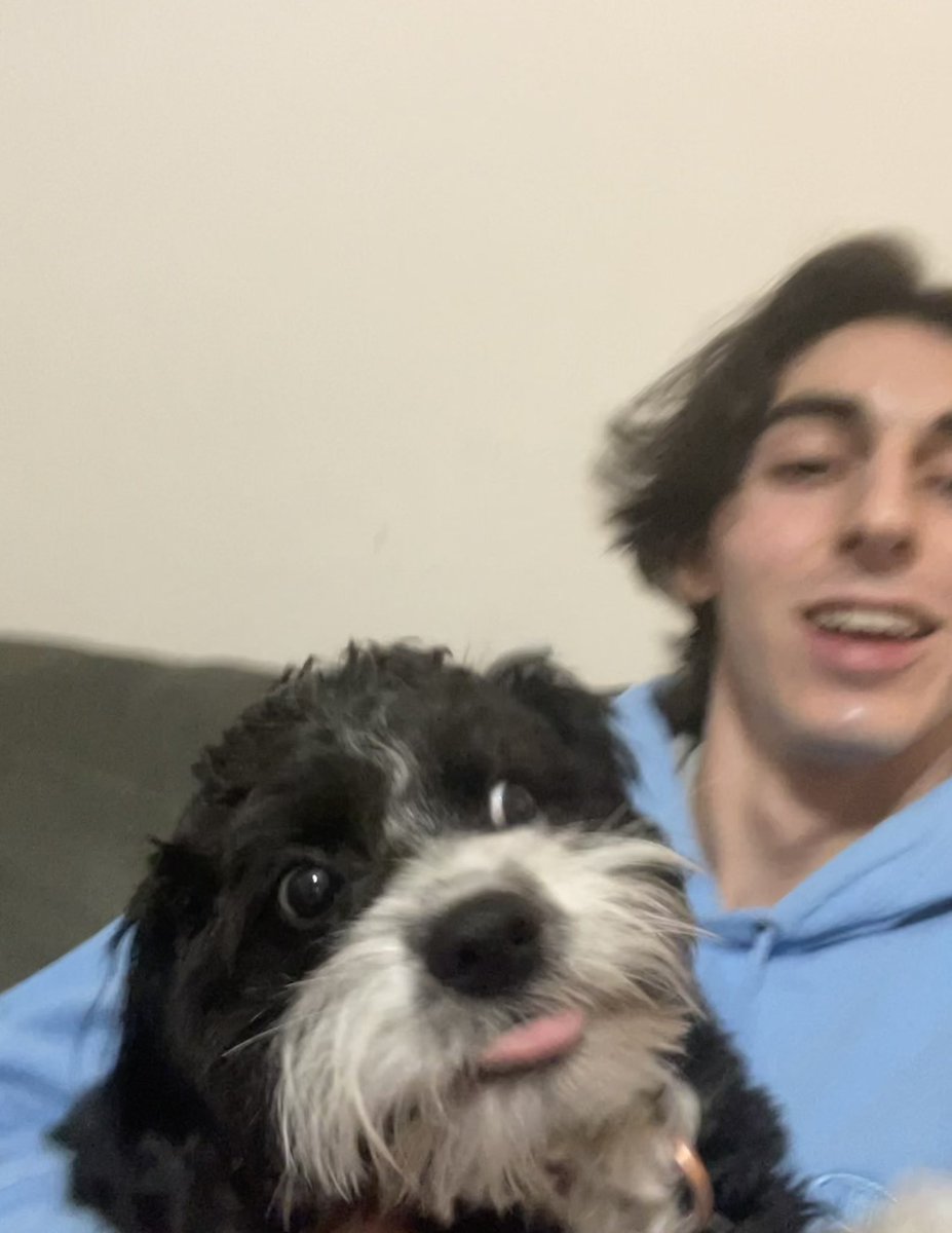 I named my dog after him. Now get him to the ASG

#NHLAllStarVote    Morgan Rielly
#NHLAllStarVote    Morgan Rielly
#NHLAllStarVote    Morgan Rielly
#NHLAllStarVote    Morgan Rielly
#NHLAllStarVote    Morgan Rielly
#NHLAllStarVote    Morgan Rielly
#NHLAllStarVote    Morgan Rielly