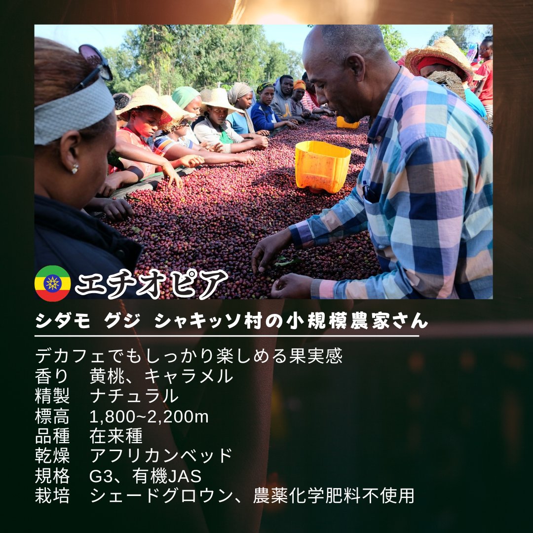 neconomecoffee's tweet photo. #デカフェ #DECAFE #エチオピア #グジ #シャキソ #有機 #JAS認証 新鮮厳選 #炭火自家焙煎コーヒー豆 100g×1袋 #可愛い猫柄 #ねこのめ珈琲 #ハンドピック済 https://t.co/jn20eUjYGU