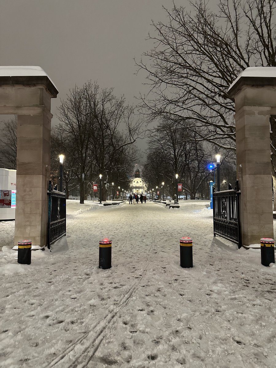 gian_amato's tweet photo. Love hate relationship with snow ❄️🌃 #Montreal https://t.co/xVqQ5rbPRR