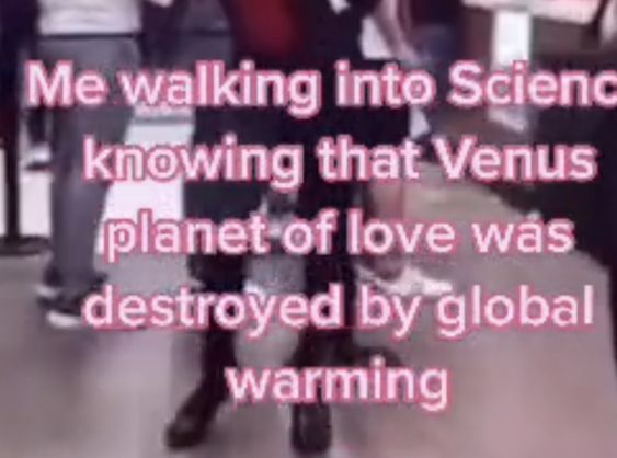 daily mitski tweet media