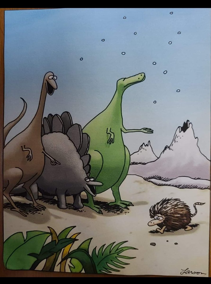 Joe Webb tweet media