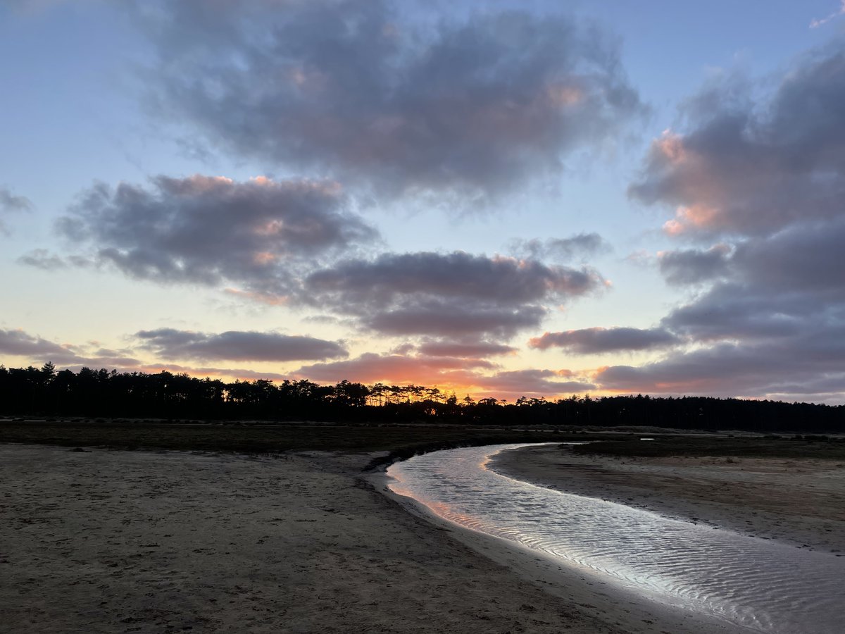 LisaQuattromini's tweet photo. And a perfect day - lunch @TheCellarHouse with @Rachelhore followed by a trip to @HolkhamEstate beach for Pinky's favourite treat 🤩🥰🐕 https://t.co/XNmQXRAKmc