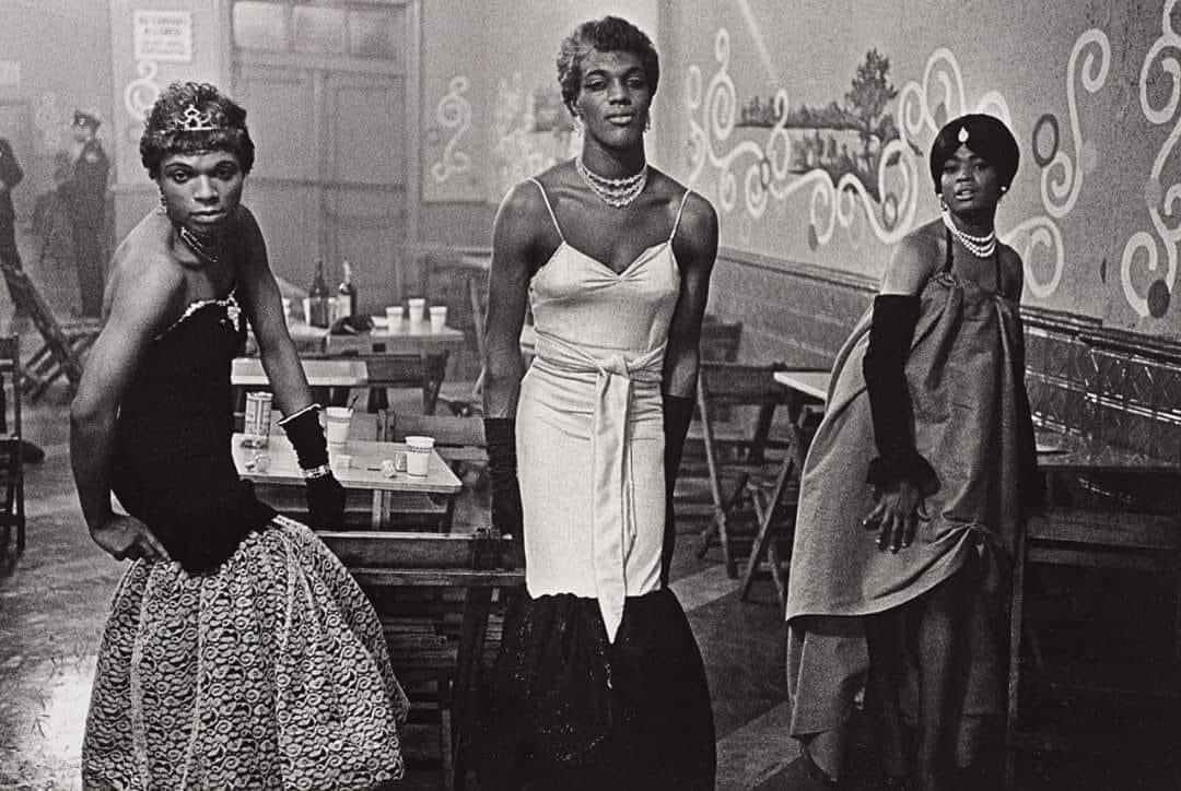 Capturing the resilience of black transgender women in 1959. Often referred to as transvestites or drag queens, they are Black trans women. As Miss Major Griffin-Gracy aptly asserts, "we are still fucking  here." 

Black trans women in 1956

Photographer 📸: Diane Arbus