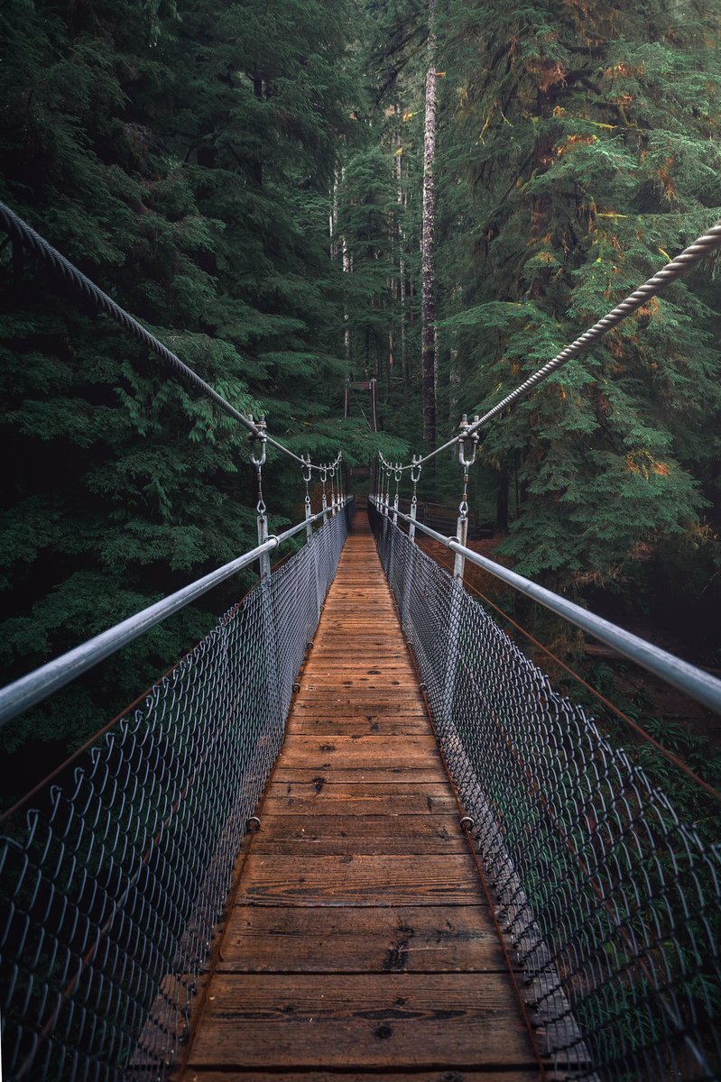 InfiniteHorizs's tweet photo. What is your favourite here �� #NatureBeautiful #nature #NaturePhotograhpy https://t.co/wqifXTAUqa