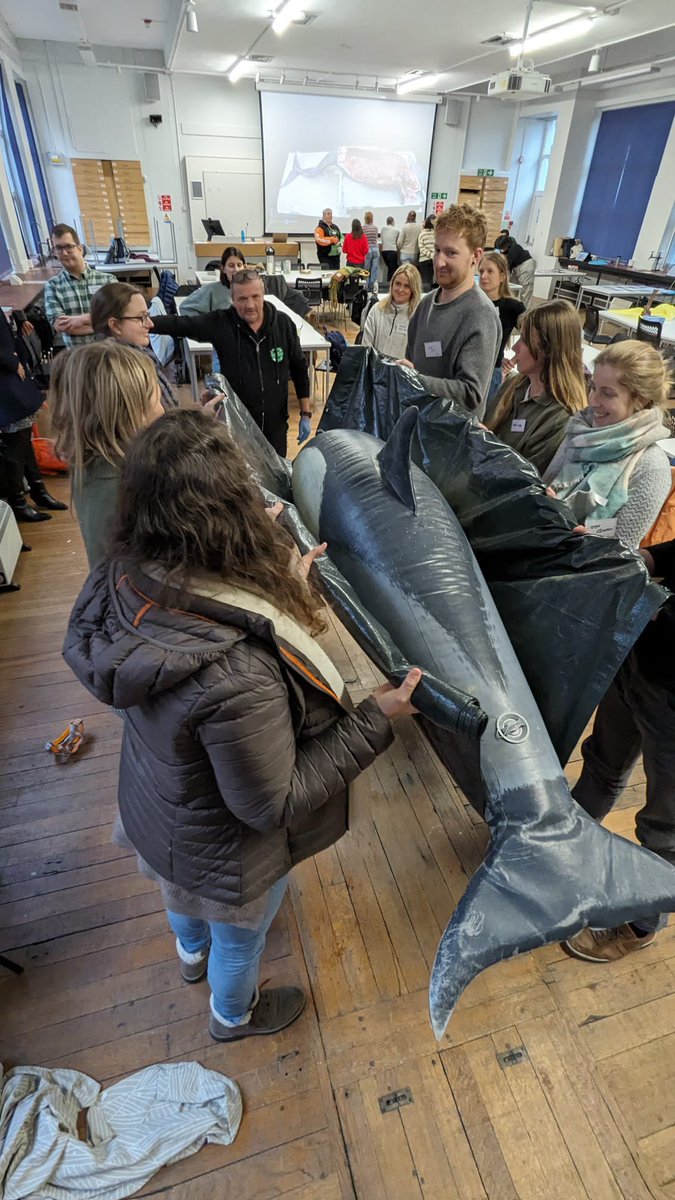 UKIRSC_SMM's tweet photo. Finishing off day 1 with the Strandings workshop! Thank you to the workshop leaders Sarah and Chris from the @BDMLR, and Dr Gail from the @LivUni 

#UKIRSC24 https://t.co/87R84UPypR