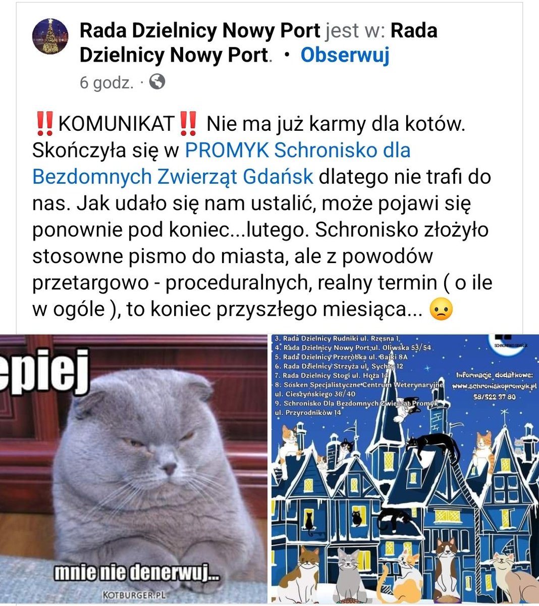 Przemysław Majewski tweet media