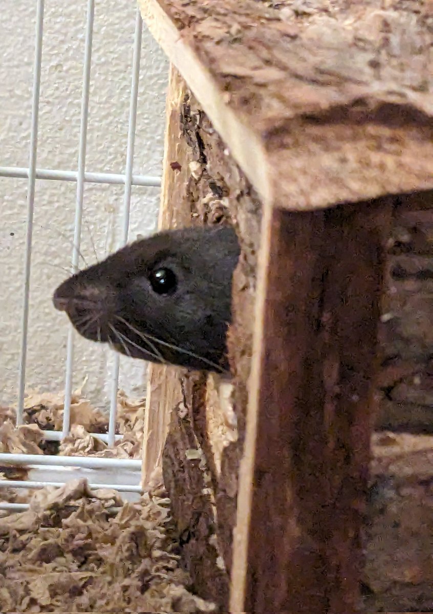 Bolt_451's tweet photo. "whats going on over there?" https://t.co/yC6Qjgtx4F