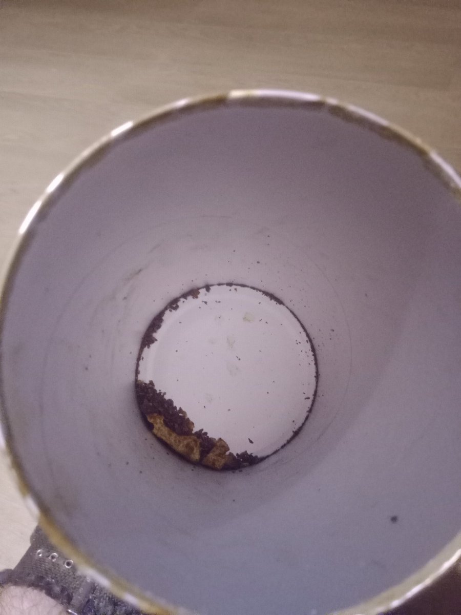 thaumologist's tweet photo. And now I know Christmas is over... I'm out of #twiglets I til next year https://t.co/2BDOwn0gst