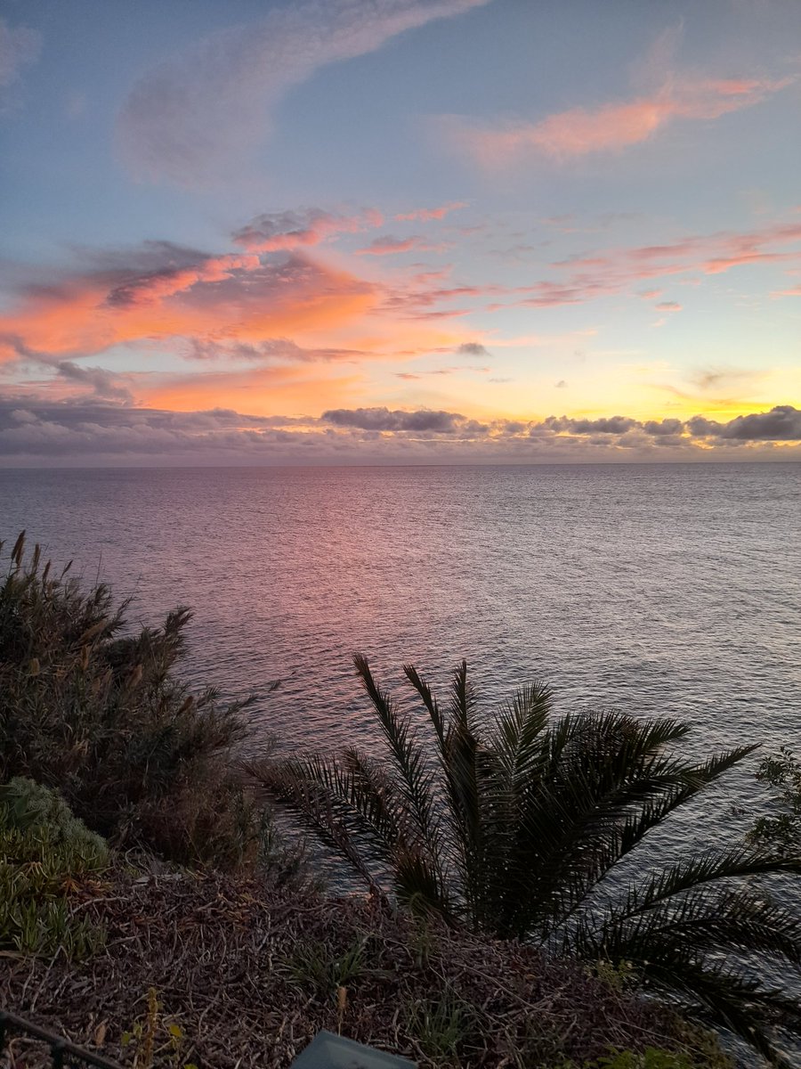 SilviaCorreia05's tweet image. Good evening! 🌅 
Different faces of a #sunset.
#Sunsetting  #MadeiraIslands🏝