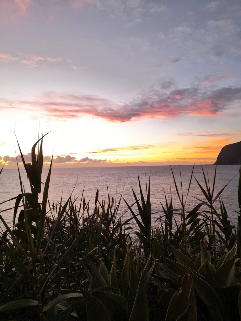 SilviaCorreia05's tweet image. Good evening! 🌅 
Different faces of a #sunset.
#Sunsetting  #MadeiraIslands🏝