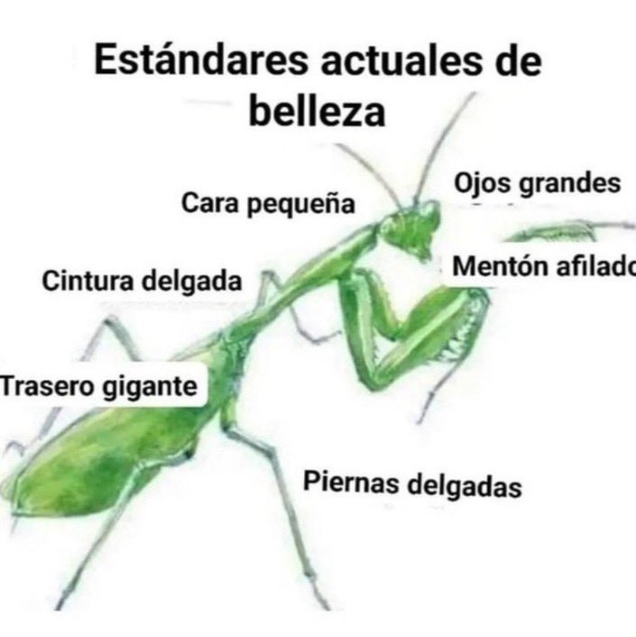 yisucrist's tweet photo. no habia caido https://t.co/rrGB8HOEWi