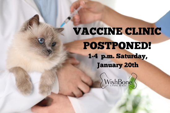 URGENT! Our pet vaccine clinic for low-income McLean County residents has been rescheduled from this Saturday to January 20th. Get all the details here: conta.cc/3RQ4F7H #wbcrdogs #blono #rescueworks #adoptdontshop