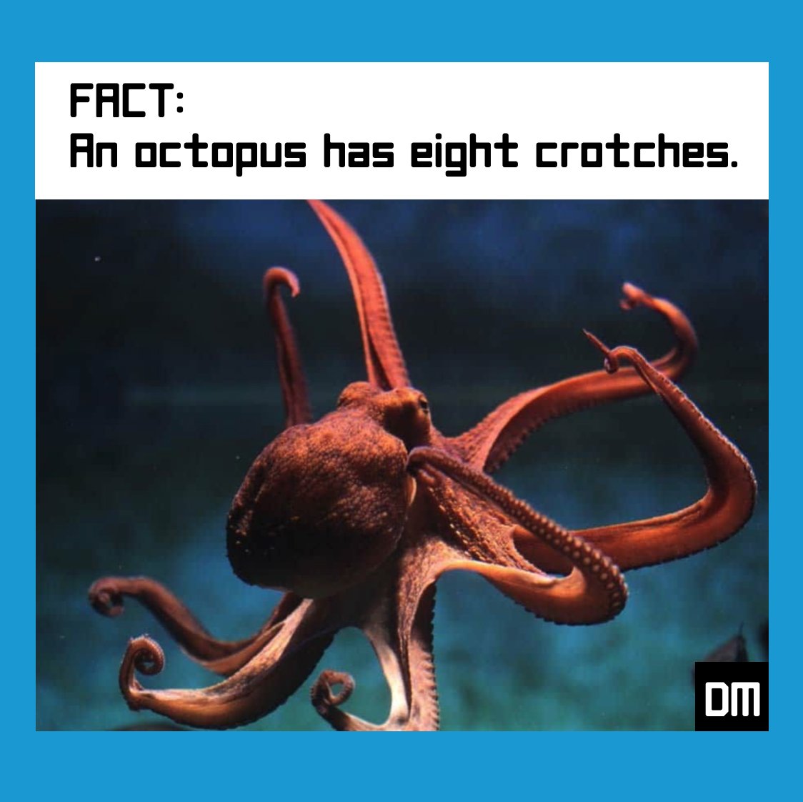 Demetri Martin (ThatDemetri@gmail.com) tweet media