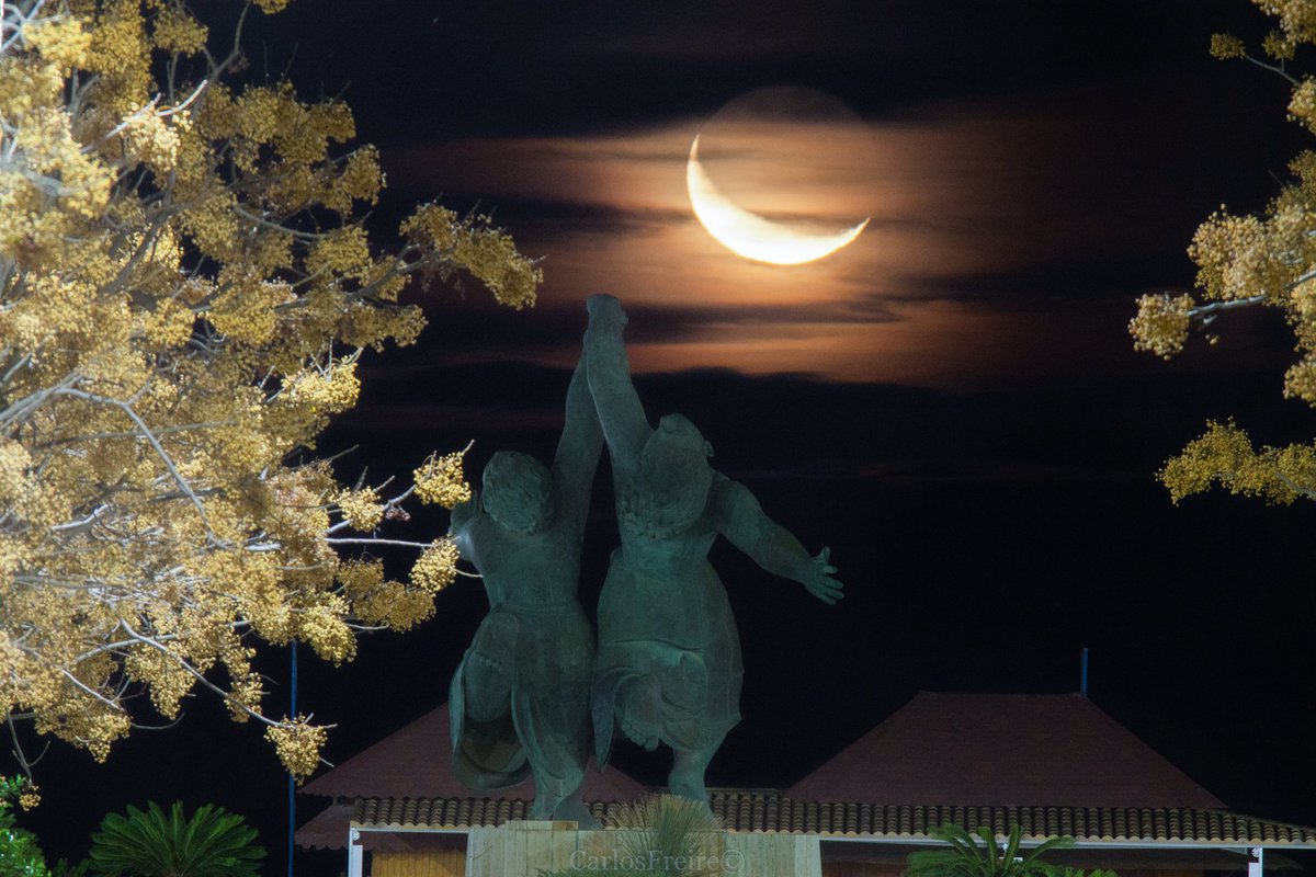 Luna decreciente 22% 🌘 la pasada madrugada del 7 de Enero.
No quería que se quedasen guardadas aunque el resultado no es lo ideado. Prometo no hacer más fotos con fiebre 🤧