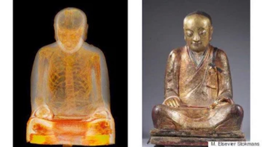 In 2015 a quest to unravel an age-old enigma, a thousand-year-old Buddha statue was transported from the Drents Museum in the Netherlands to a cutting-edge hospital. Concealed within the exterior of the gold-painted statue was an intriguing secret—a mummy of a Buddhist monk…