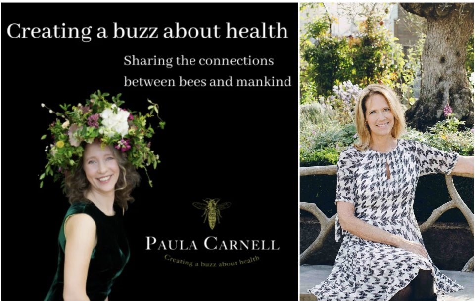 Did you know bees can help improve your health? Our founder shares the buzz on propolis, bee pollen &amp; more and also discusses the inspiration behind the brand on <a href="/Buzzabouthealth/">Paula Carnell</a>’s brilliant podcast.🐝 

podcasts.apple.com/gb/podcast/cre… #honeybees #healthtips #podcasts #beekeeping