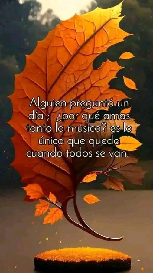 josuelp1975's tweet photo. https://t.co/9KlSVhaD6e