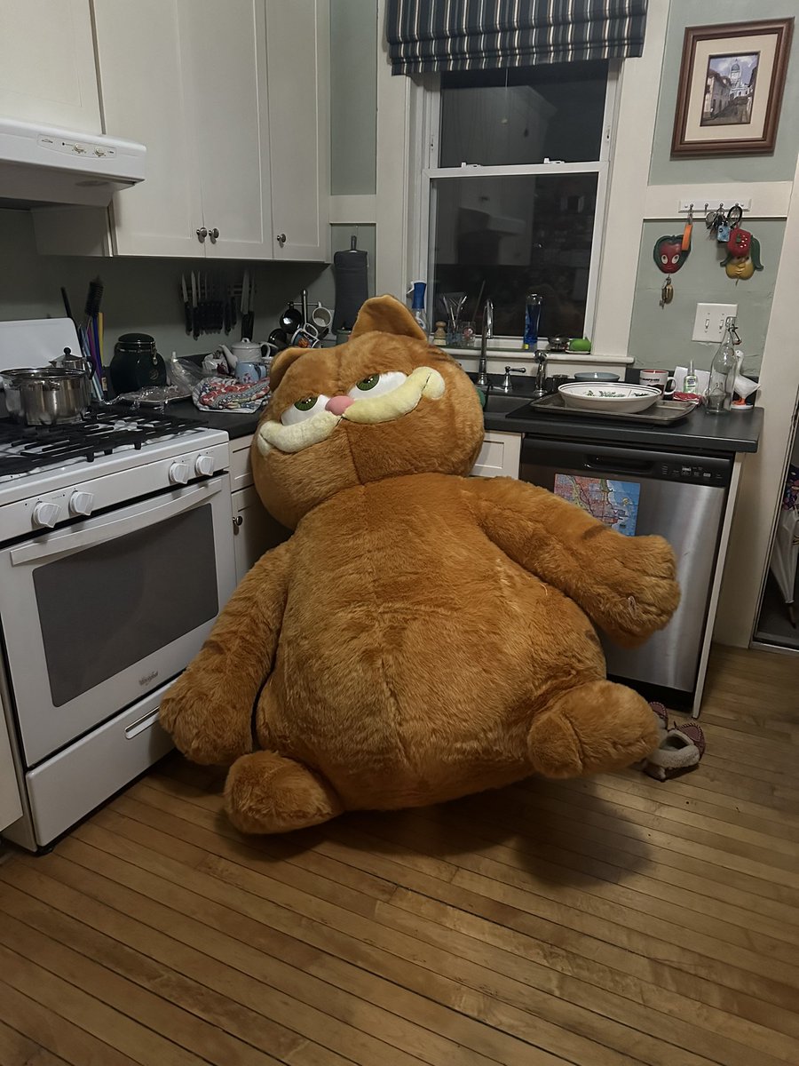 i dunno bud tweet media