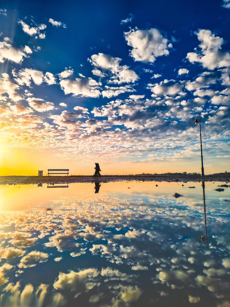 Photographers (@nusrath_nusrath) on Twitter photo 