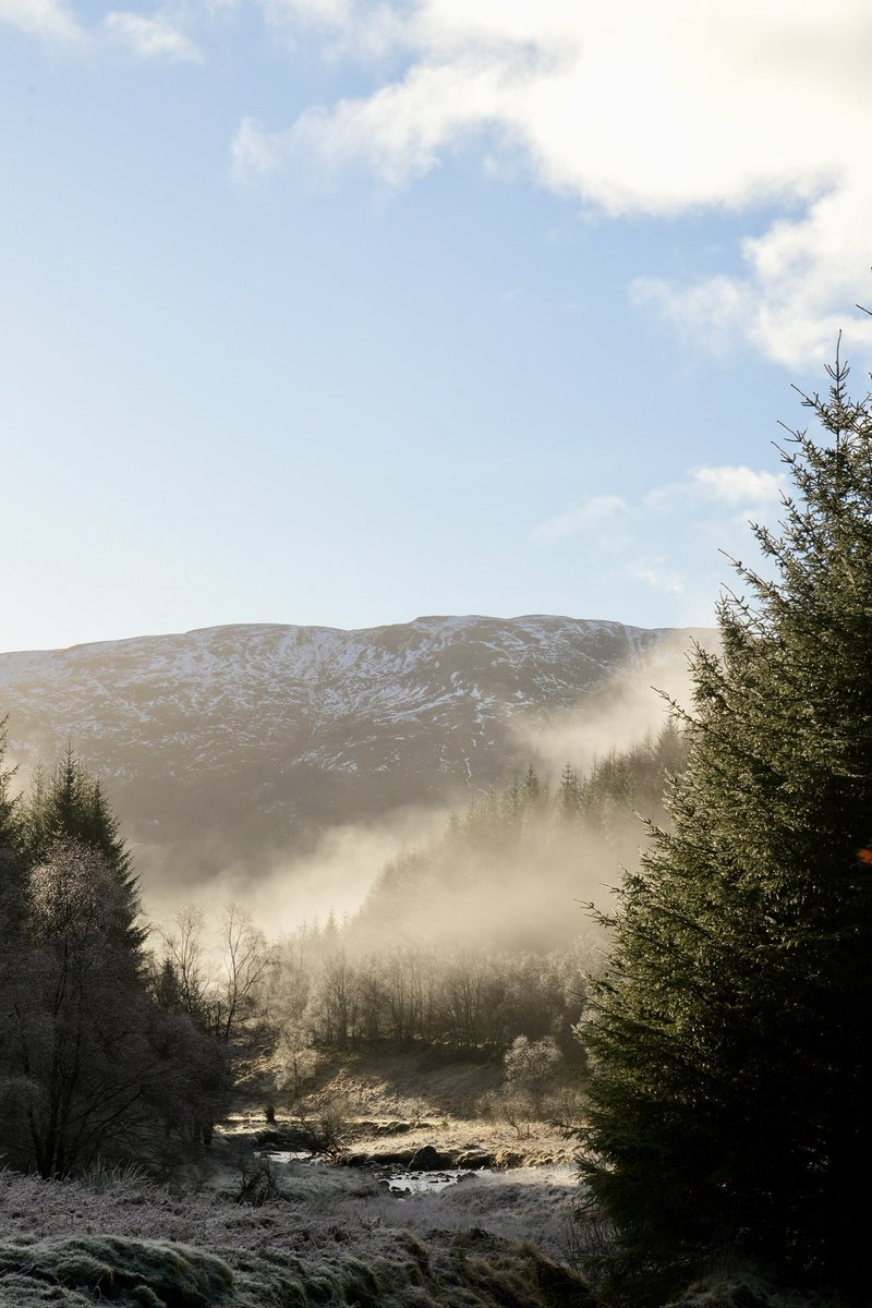 Richard Deane tweet media