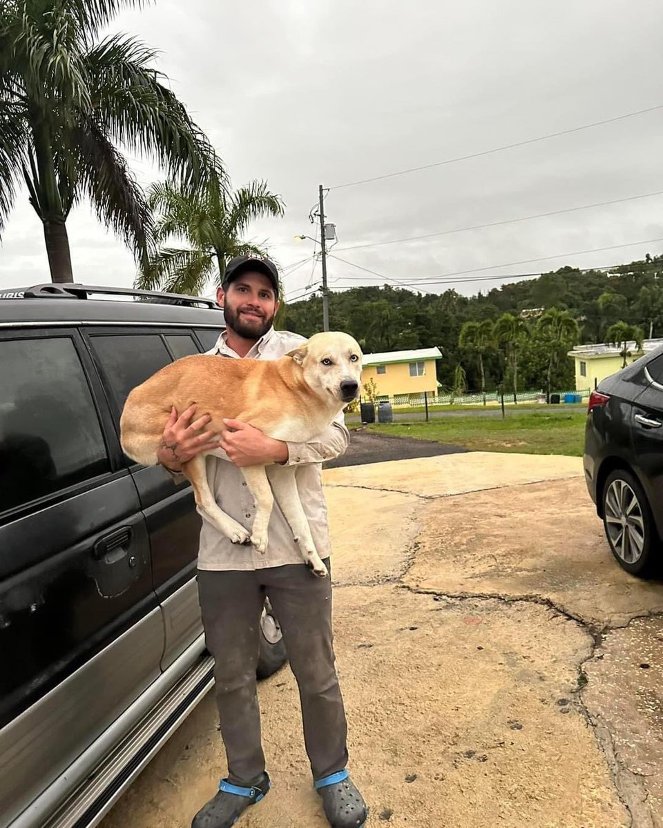 RemiMartinPR's tweet photo. Una familia desesperada por tener a su  perrito 🐶 de vuelta 😞

Jacob esta desaparecido,  ofreciendo $200 de (( Recompesa )) a la persona que nos entregue al perrito, Última vez visto en Eneas San Sebastián, lleva desde el 1 de enero desaparecido, 939-283-2074 939-252-6248 https://t.co/955LbFjnOp