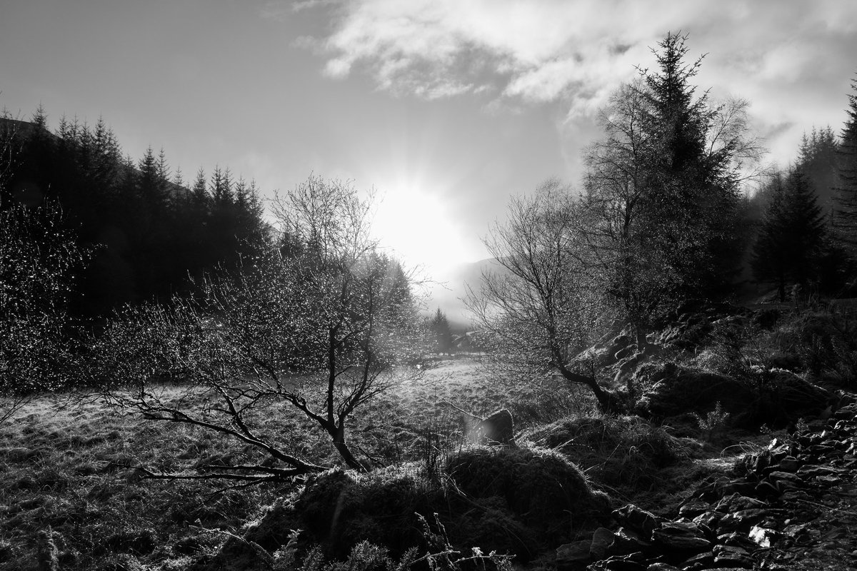 Richard Deane tweet media