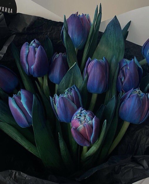 Blue 💙