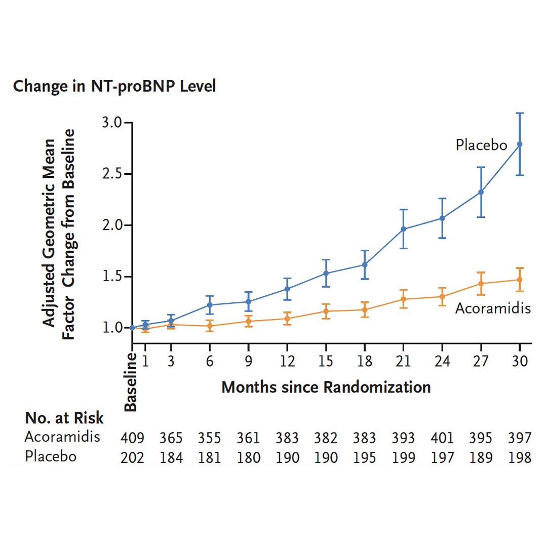 NEJM's tweet photo. In patients with transthyretin amyloid cardiomyopathy, the TTR stabilizer acoramidis resulted in a better primary hierarchical outcome (including mortality, morbidity, and function) than placebo. Read the full ATTRibute-CM trial results: https://t.co/0HOZBB9c91