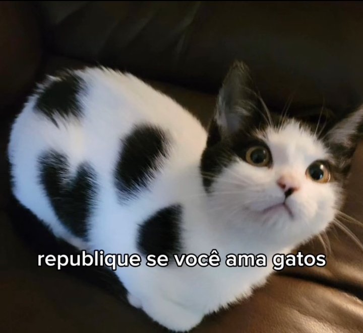 atenção