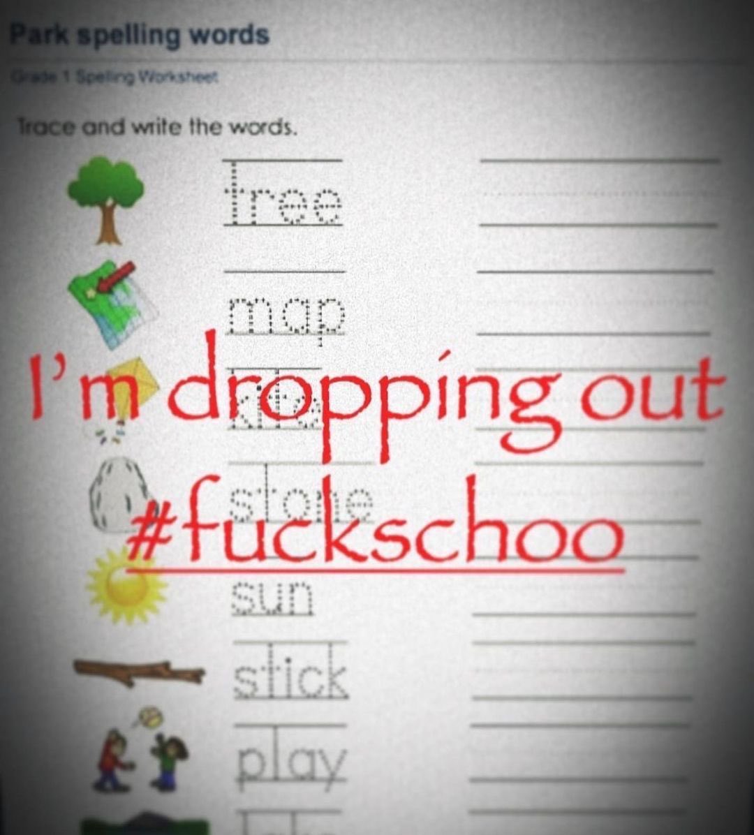 scout (@grandssiam) on Twitter photo 