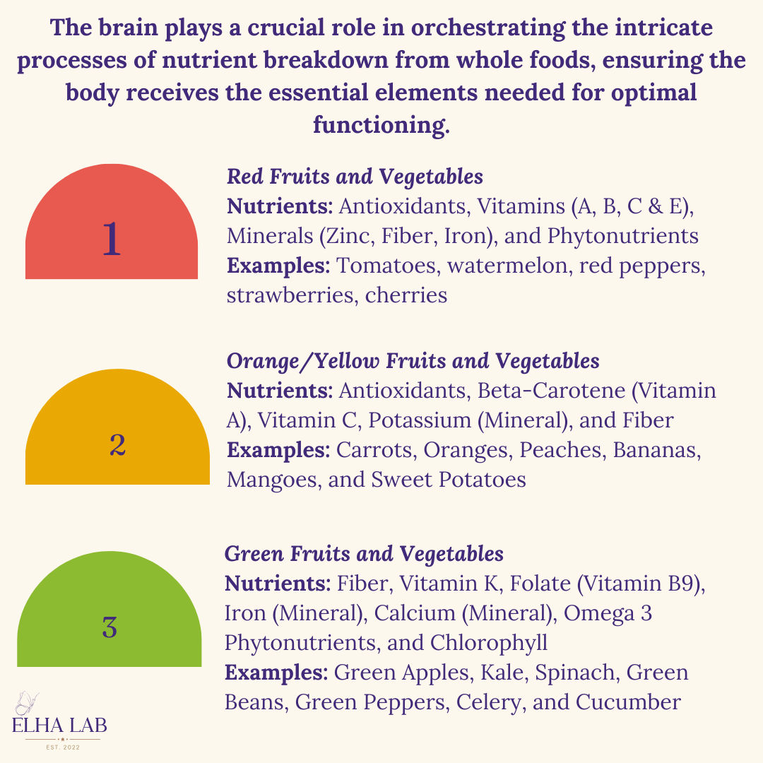ELHAUCLA's tweet photo. Part 1: Unlocking the vibrant palette of nutrition! 🌈 Red, orange/yellow, and green foods are not just a feast for the eyes; they're a powerhouse for your brain. 🧠🍊🥦
#NutritionMatters #BrainHealth #ColorfulEating #ELHA #MyBrain https://t.co/pYyinSr6hi