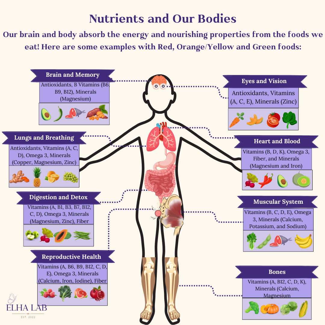 ELHAUCLA's tweet photo. Part 1: Unlocking the vibrant palette of nutrition! 🌈 Red, orange/yellow, and green foods are not just a feast for the eyes; they're a powerhouse for your brain. 🧠🍊🥦
#NutritionMatters #BrainHealth #ColorfulEating #ELHA #MyBrain https://t.co/pYyinSr6hi