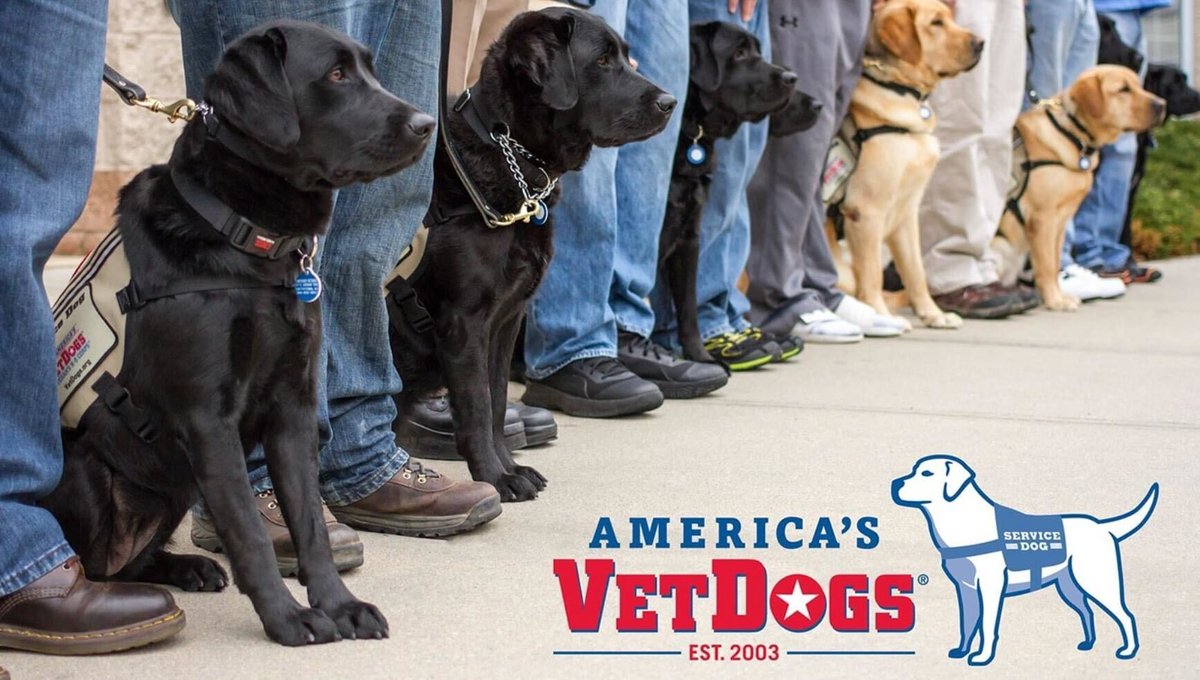 Train your furry friend using the best treats around! 🦴 🐶

When you do, you're helping a #Vet too. Can it really get any better than that?

Stock up when you buy online: bit.ly/3wE8mDj